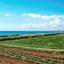 land for sale ormideia larnaca 1311615 thumbnail 5638986