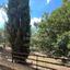 studio building for sale makedonitissa nicosia 1180615 thumbnail 5177302