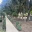 2 bedroom apartment for sale kato paphos universal paphos 8537815 thumbnail 15497687