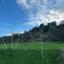 plot for sale vasa kellakiou limassol 1808815 thumbnail 6170263
