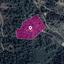 7646 SQM Land for sale in Kampos, Nicosia thumbnail 10050946