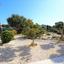 5 bedroom detached house for sale aphrodite hills paphos 8529915 thumbnail 15458420