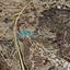land for sale aradippou larnaca 8925915 thumbnail 17598361