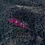 land for sale kampos nicosia 8274915 thumbnail 15156298