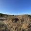 land for sale lasa paphos 946025 thumbnail 17102774