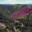 land for sale pigenia nicosia 8312025 thumbnail 16530465