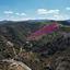 land for sale pigenia nicosia 8312025 thumbnail 16530472