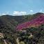 land for sale pigenia nicosia 8312025 thumbnail 16530491