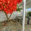 2 bedroom ground floor apartment for sale protaras famagusta 1426125 thumbnail 5648088