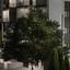 3 bedroom penthouse for sale potamos germasogeias limassol 7544125 thumbnail 10295390