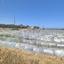 land for sale maroni larnaca 7533225 thumbnail 9885880