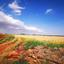 7845 SQM Land for sale in Avgorou, Famagusta thumbnail 16560274