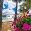 3 bedroom detached house for sale tala paphos 8890325 thumbnail 17318759