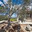 4 bedroom detached house for sale eledio paphos 8931325 thumbnail 17610179