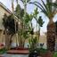 4 bedroom detached house for sale kato lakatamia nicosia 8302325 thumbnail 14093828