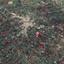 land for sale avgorou famagusta 8765325 thumbnail 16560271