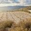 land for sale laneia limassol 8277425 thumbnail 13997873