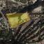 land for sale laneia limassol 8277425 thumbnail 13997875