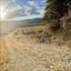 land for sale laneia limassol 8277425 thumbnail 13997877
