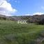 land for sale meladia paphos 1908425 thumbnail 14906732