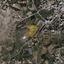 land for sale parekklisia limassol 1735425 thumbnail 5714106