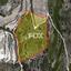 25920 SQM Land for sale in Axylou, Paphos thumbnail 10029707