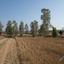 land for sale palaiometocho nicosia 944525 thumbnail 15600600