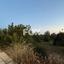 plot for sale anogyra limassol 1239525 thumbnail 5579415