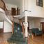 6 bedroom detached house for rent larnaca municipality larnaca 8716625 thumbnail 16302262