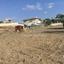 land for sale agia varvara nicosias nicosia 1862625 thumbnail 6830778