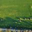 land for sale kato deftera nicosia 8355625 thumbnail 16136252