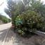 land for sale kelokedara paphos 8117625 thumbnail 16016109