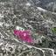 land for sale peyia paphos 8237625 thumbnail 14231614