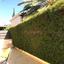 3 bedroom detached house for sale potamos germasogeias limassol 8156725 thumbnail 14847818