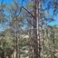 land for sale moniatis limassol 1658825 thumbnail 15430294