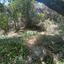 land for sale pano platres limassol 1147825 thumbnail 5561809