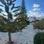 2 bedroom apartment for sale chlorakas paphos 7733925 thumbnail 12534779