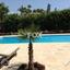5 bedroom detached house for sale germasogeia limassol 1627925 thumbnail 5657546