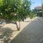 3 bedroom detached house for sale coral bay paphos 8442035 thumbnail 15032544