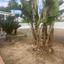 4 bedroom detached house for sale aradippou larnaca 1794035 thumbnail 5938470