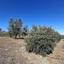 41662 SQM Land for sale in Agios Ioannis Nicosias, Nicosia thumbnail 7293558