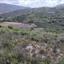 land for sale pachna limassol 8630035 thumbnail 16656578