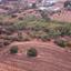 land for sale pyrgos limassol limassol 7811035 thumbnail 10635257