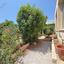 3 bedroom bungalow for sale tala paphos 8442135 thumbnail 15212157