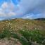 land for sale pano arodes paphos 1648135 thumbnail 17396934