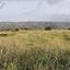 3512 SQM Land for sale in Vouni, Limassol thumbnail 16295239