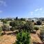 2 bedroom apartment for rent mesogi paphos 8681235 thumbnail 16096762