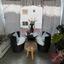 2 bedroom apartment for sale mackenzie larnaca 1703235 thumbnail 13143991