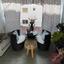 2 bedroom apartment for sale mackenzie larnaca 1703235 thumbnail 13143994