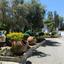2 bedroom ground floor apartment for rent kato paphos paphos 8791235 thumbnail 16671628